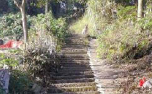 关于爬山的乐趣作文