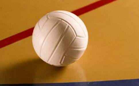 描写打排球的好句好段