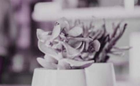 环保手工制作:蛋壳盆栽