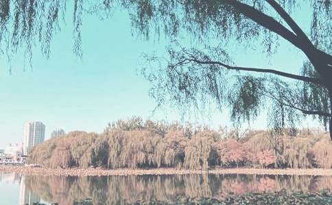 2016预防秋季传染病黑板报素材