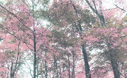 2016小学生预防秋季疾病手抄报设计内容