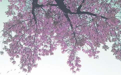 2016秋季预防传染病手抄报图片设计