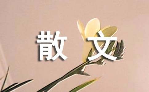 季羡林散文精选