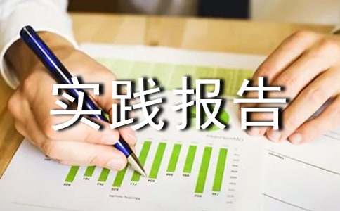 2015大学暑假社会实践报告范文