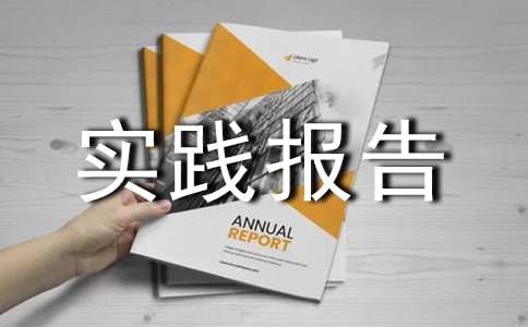 2015物流专业社会实践报告