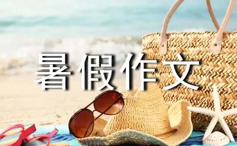 二年级暑假作文300字:我的暑假打算