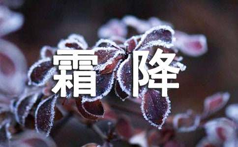 关于霜降节气的现代诗歌