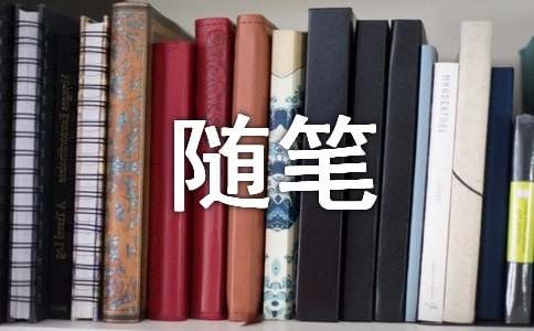 高中随笔作文300字