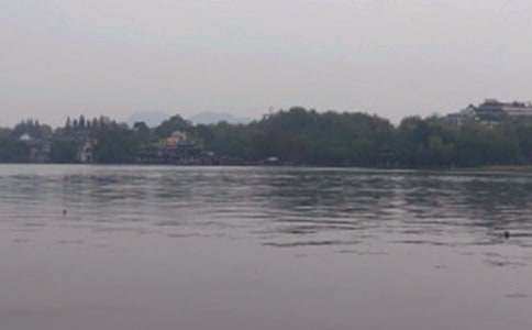 描写西湖夜景的作文精选