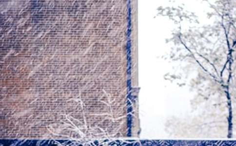 下雪啦小学生作文