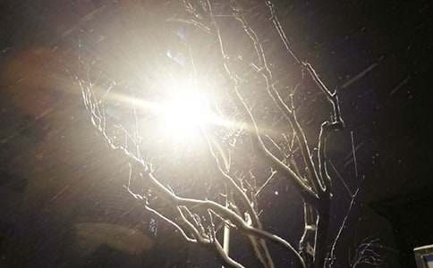 2016关于下雪的说说