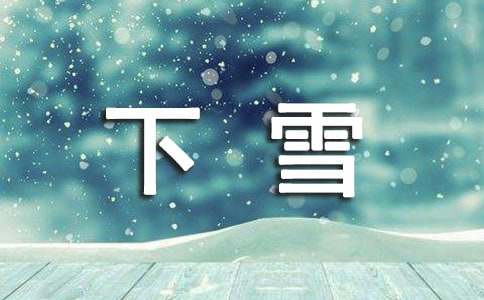 有关七年级下雪了作文700字