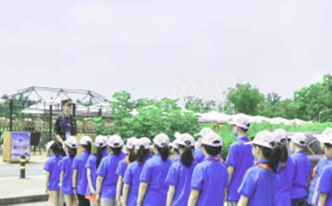 小学生我的精彩夏令营征文400字