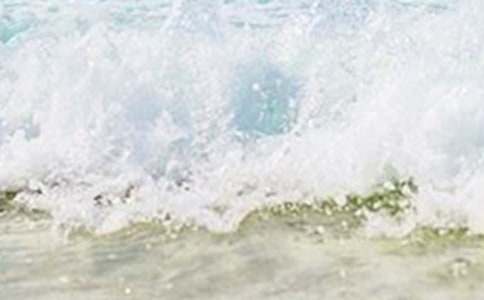 夏天作文400字:不一样的夏天