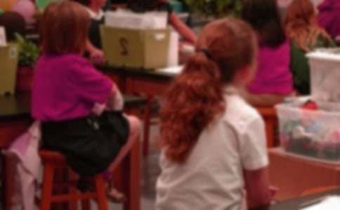 小学生手抄报怎么做