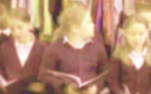 小学生观察日记:观察小鸡