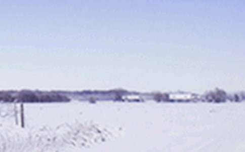 一年级作文:小雪飘啊飘