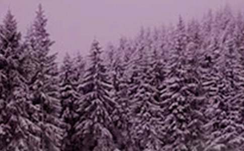 小雪节气咏古诗歌