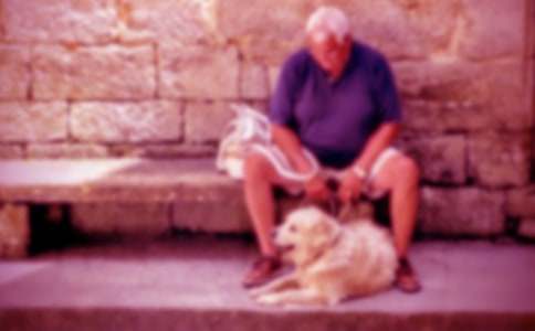 描写爷爷奶奶外貌的好句好段