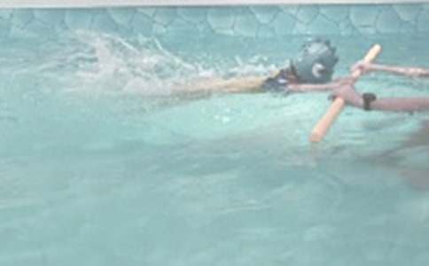 七年级暑假作文800字:我学会了游泳