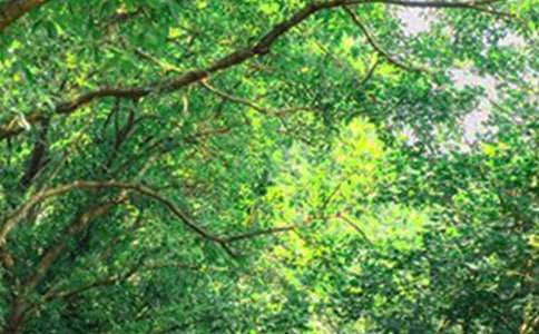 大学生最温暖的早安心语集锦2016