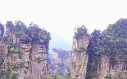 暑假见闻之张家界