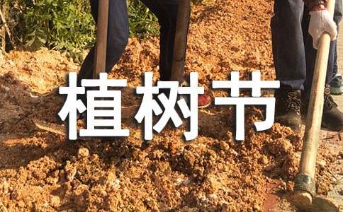 2016小学生植树节活动方案