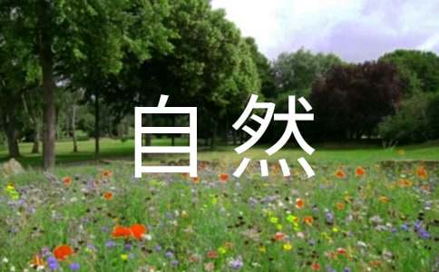 小学生大自然手抄报