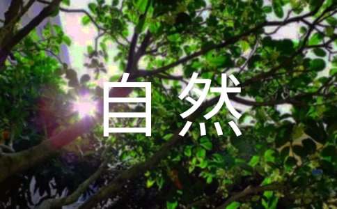 苏教版六上《大自然的文字》教学设计(第一课时)