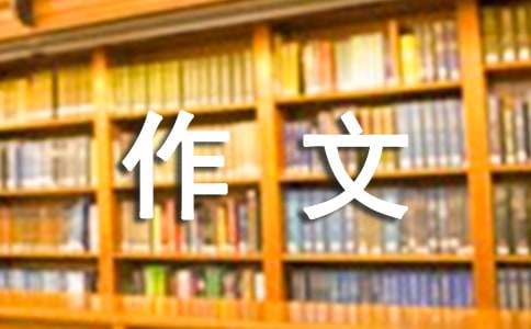 美的瞬间作文800字高中