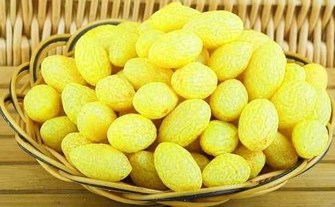 我家的橄榄绿征文