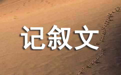 初中播种希望的种子记叙文600字(精选19篇)